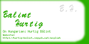 balint hurtig business card